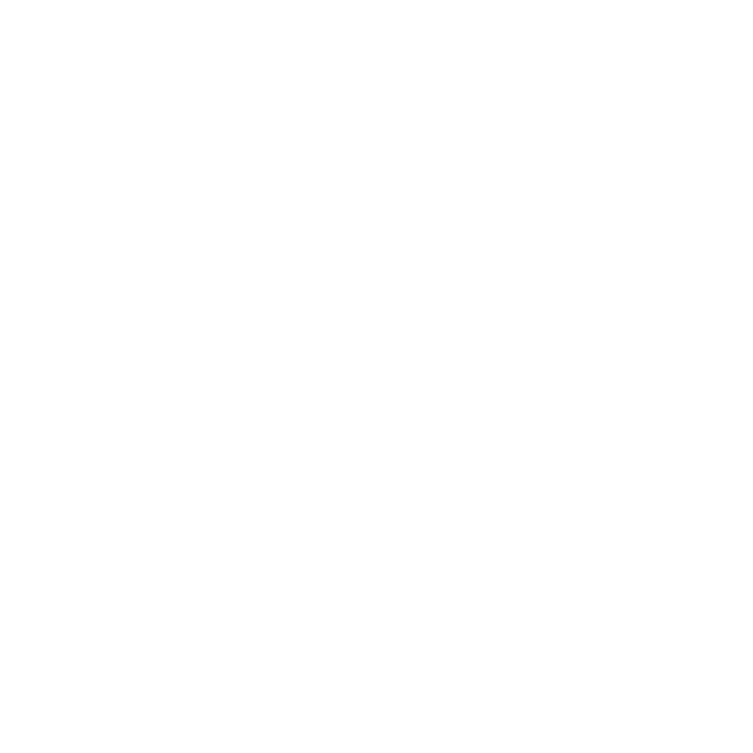 Plan With Clarity Icon